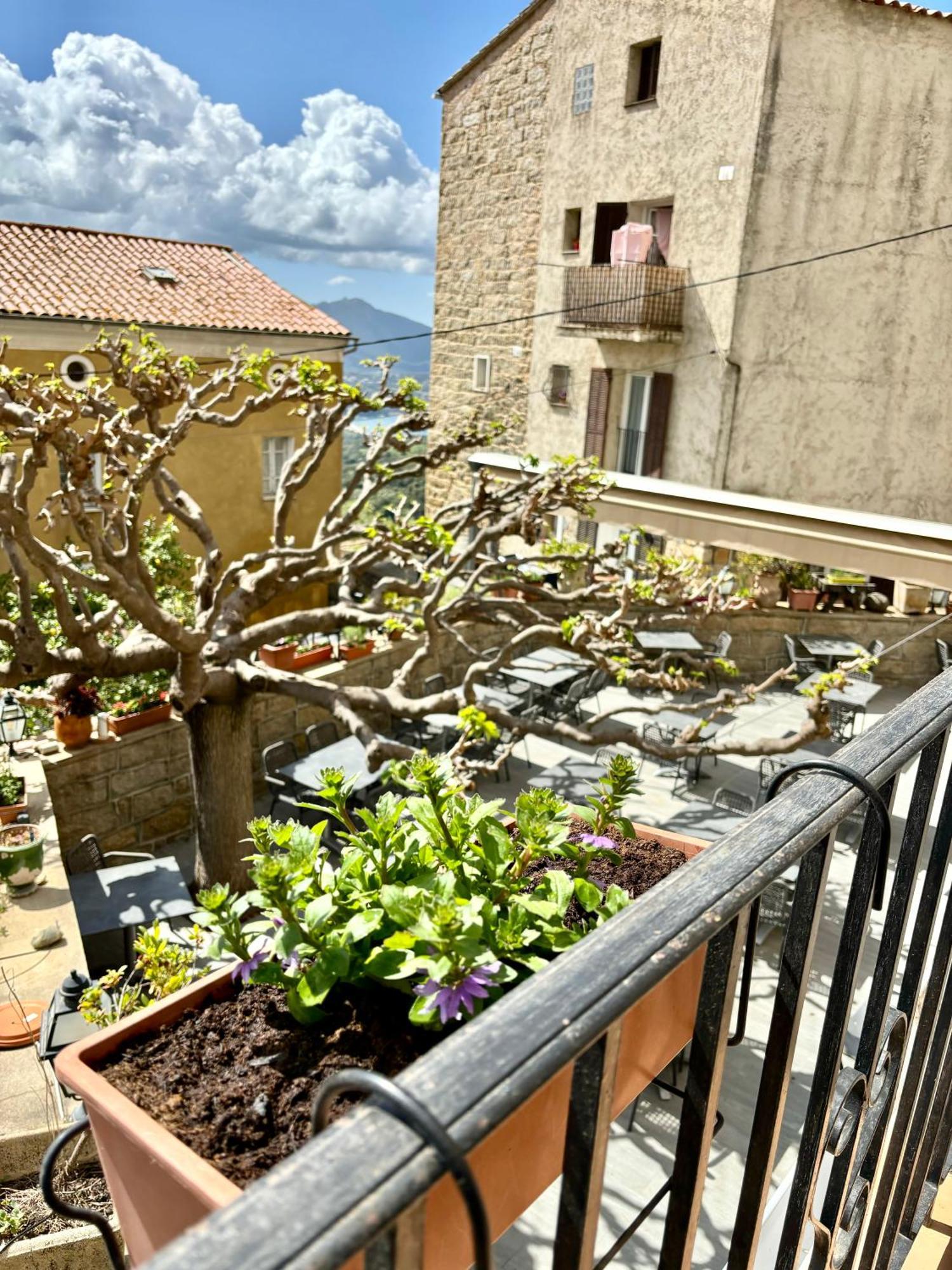 Hoetel U Santa Maria Olmeto  Kamer foto